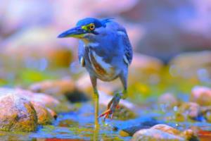 2023年西甲联赛直播平台推荐，多平台同步 coverage西甲联赛哪个台直播