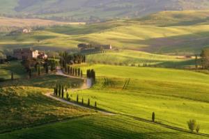 2023-2024赛季西甲联赛各队人员构成分析西甲联赛各队人数